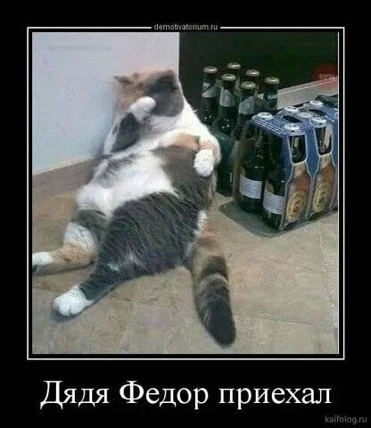 Дядя Федор приехал