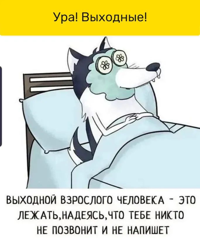 ВЫХОДНОЙ ВЗРОСЛОГО ЧЕЛОВЕКА ЭТО ЛЕЖАТЬНАДЕЯСЬЧТ0 ТЕБЕ НИКТО НЕ ПОЗВОНИТ И НЕ НАПИШЕТ