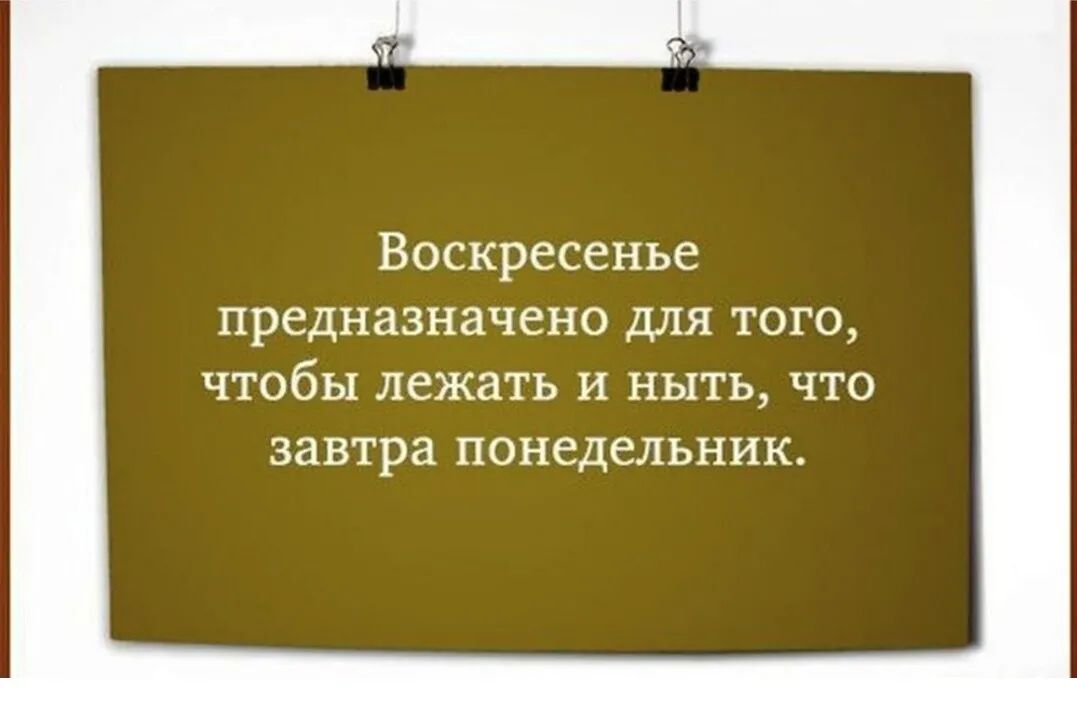 Воскресенье предназначено для того ЧТОбЫ лежать И НЫТЬ ЧТО завтра ПОНСДеЛЬНИК