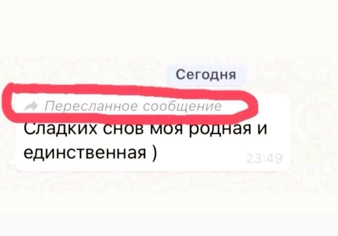 Сегодня единственная