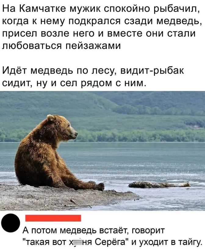 На Камчатке мужик спокойно рыбачип когда к нему подкрался сзади медведь присел возле него и вместе они стали любоваться пейзажами Идёт медведь по лесу видит рыбак сидит ну и сел рядом с ним А потом медведь встаёт говорит такая вот х_ня Серёга и уходит в тайгу