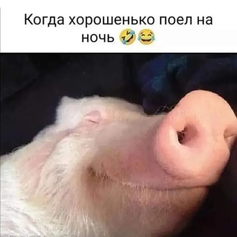 Когда хорошенько поел на ночь 37