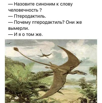 Назовите синоним к слову человечность Птеродактиль Почему птеродактипь Они же вымерли И я о том же