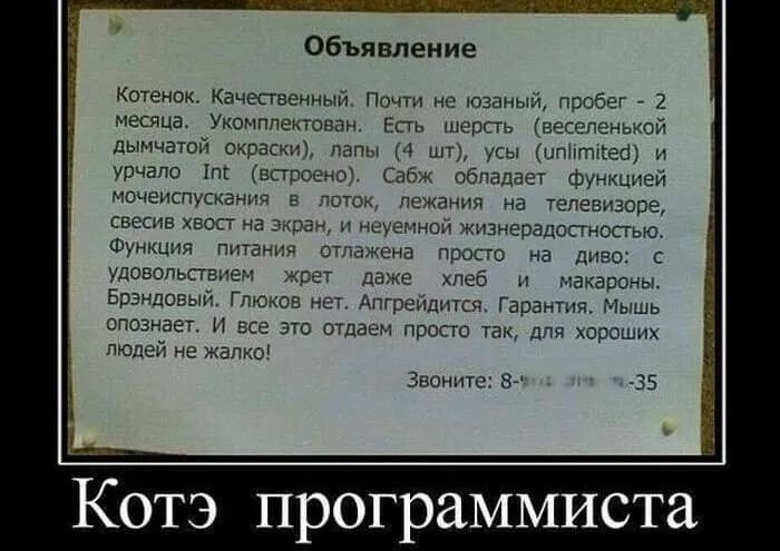 Объявление Котенок Кацесгвенный Почти не юзаный пробег 2 месяца Укомплектован Есть шерсть веселенькой дымчатой окраски папы 4 шт усы иппткіеб и урчапо 1пг епроено Сабж обладает Функцией МОЧЕИСПУСКБНИЙ Б ПОУОК пеиания НЕ ТЗПЕЕИЗОПЕ СБЕСАВ ХВОСТ На ЭКОЕЧ И НСУЕМНОН ЖИЗНЕПЭДОСИОСГЬЮ Функция питання отлажена просто на диво с УДОВОПЬПЭИЕН ЖЕЕТ даже ХПЁб Н МЗКЁрОНЬЪ Брэндавый Глюков н Апгрейдитсп Гарант
