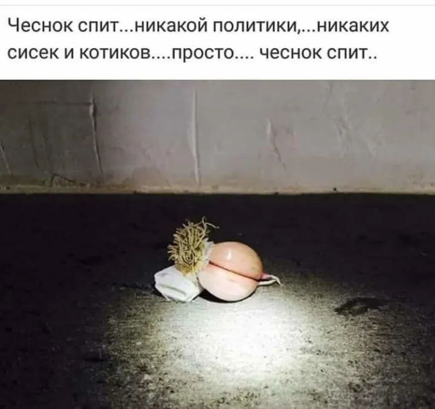 ЧЭСНОК СПИТНИКЭКОЙ ПОЛИТИКИНИК8КИХ СИСЗК И КОТИКОВПРОСТО ЧЕСНОК СПИТ