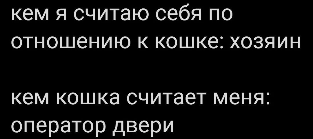 кем я считаю себя по отношению к кошке хозяин кем кошка считает меня оператор двери