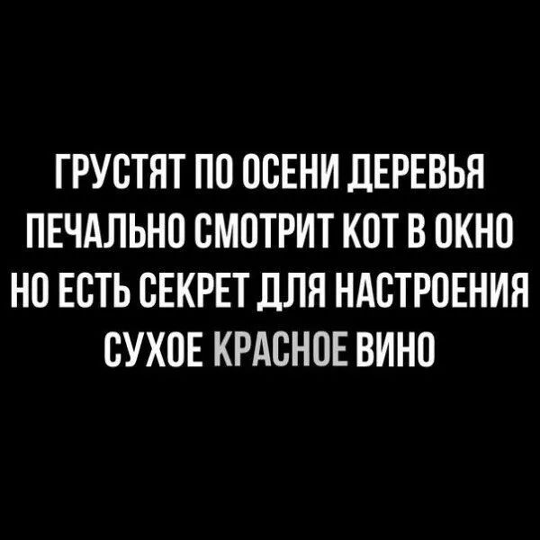 ГРУСТЯТ ПО ОСЕНИ ДЕРЕВЬЯ ПЕЧАЛЬНО СМОТРИТ КОТ В ОКНО НО ЕСТЬ СЕКРЕТ ДЛЯ НАСТРОЕНИЯ СУХОЕ КРАСНОЕ ВИНО
