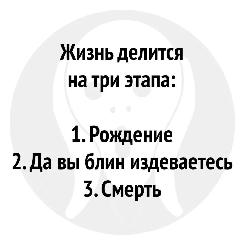 Жизнь делится на три этапа 1 Рождение 2Да вы блин издеваетесь 3 Смерть