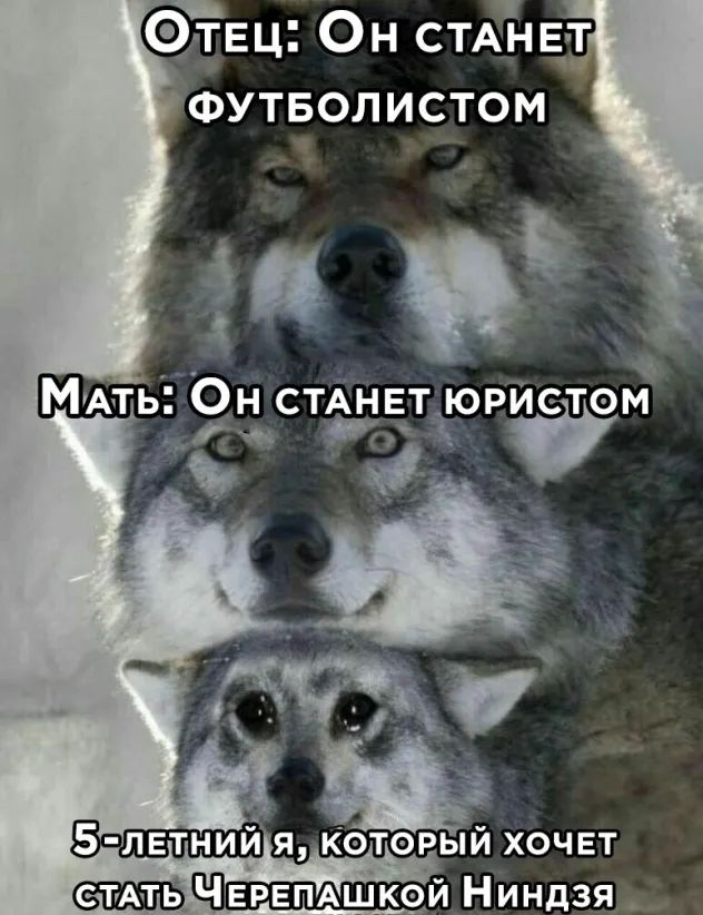 ЭЁЕц Он СТАНЕ Т ФУТБОЛИСТОМ Ч ЕРЕПАШКФЙ Н индзя__
