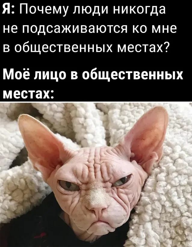 Я Почему люди никогда не подсаживаются ко мне в общественных местах Моё лицо в общественных местах