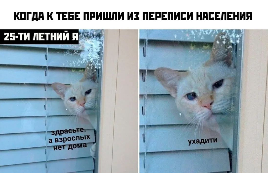 КПГдд К ТЕБЕ ПРИШЛИ ИЗ ПЕРЕПИЕИ НАСЕЛЕНИЯ