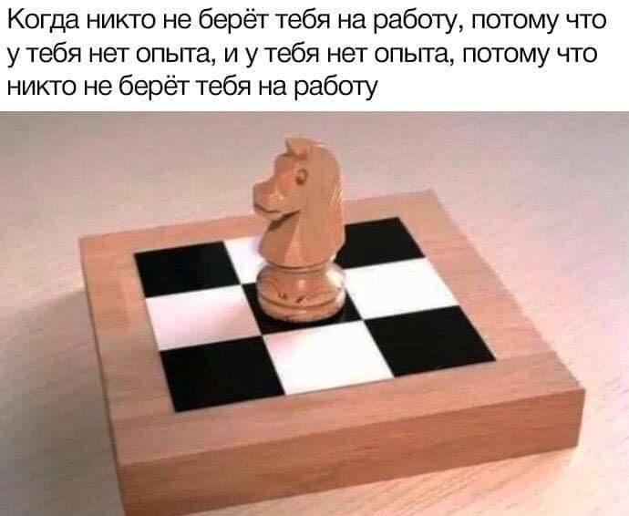 Когда никто не берёт тебя на работу потому что у тебя нет опьгга и у тебя нет опыта потому что никто не берёт тебя на работу