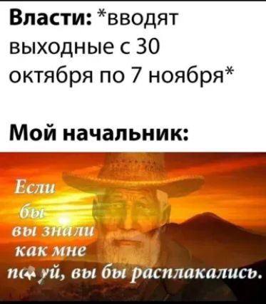 Власти вводят выходные с 30 октября по 7 ноября Мой начальник Ф Ц чдд уп 811 шрясплакалисп