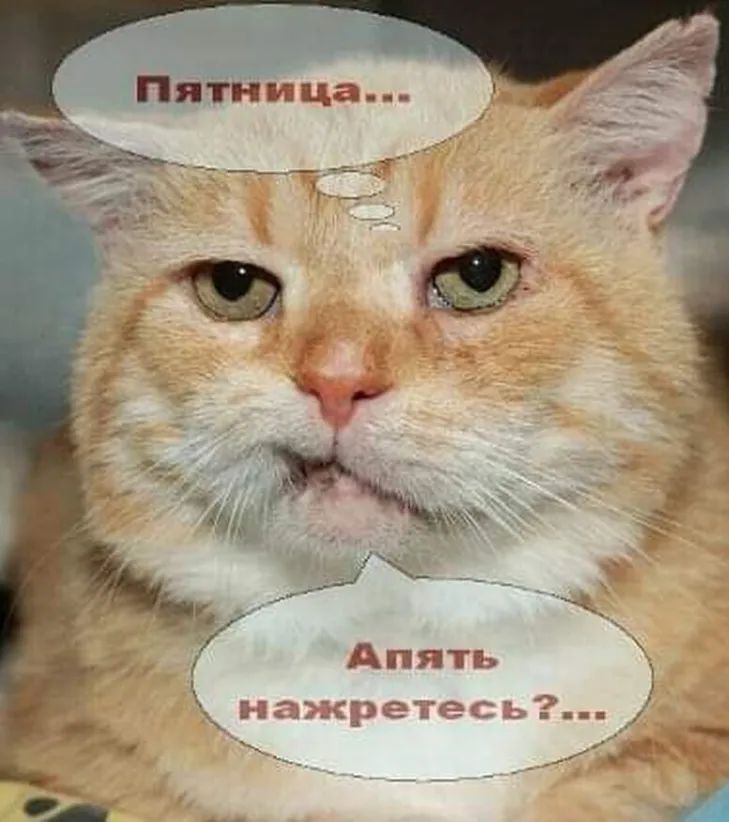 Апять
