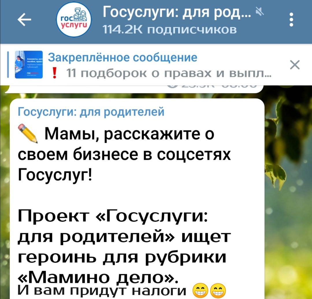 _ _ЁЁЪ 1_ П Мамы расскажите о своем бизнесе в соцсетях Госуслуг Проект Госуслуги для родителей ищет героинь для рубрики Мамино дело И вам придут налоги 69