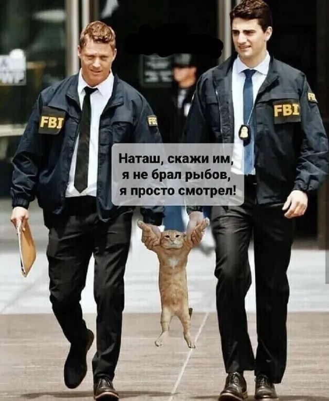 Наташ скажи им я не брал рыбов я просто смотрел