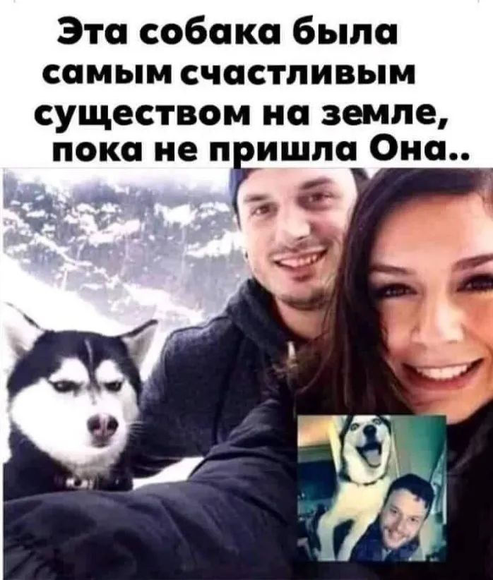 Эта собака была СПМЫМ СЧССТПИВЬіМ существом на земле пока не пгишпа Она ЖР _