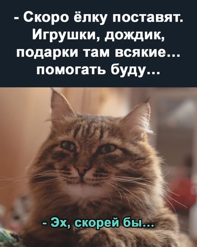 Скоро ёлку поставят Игрушки дождик подарки там всякие помогать буду Эх скорёичёзп _