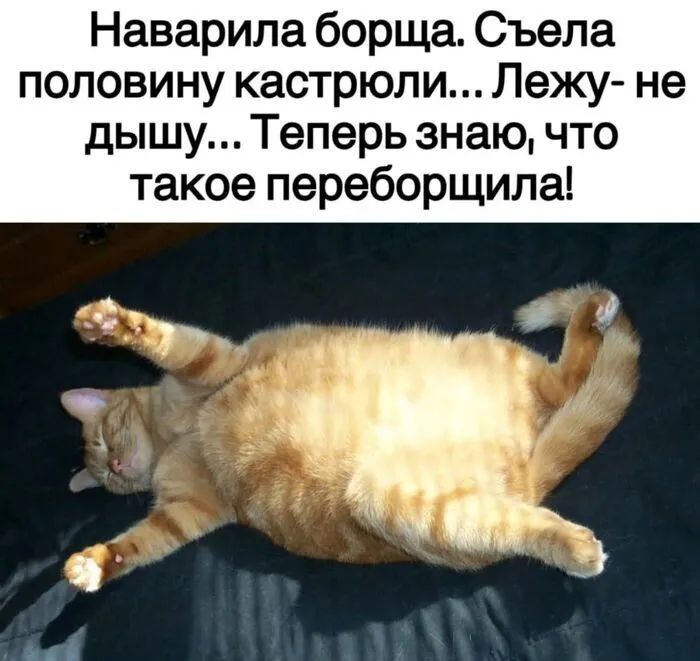 Наварила борща Съела половину кастрюли Лещ не дышу Теперь знаю что такое переборщила