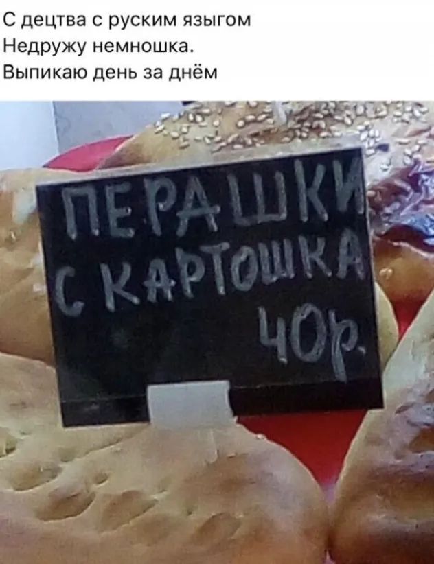 С децтва с руским языгом Недружу немношка Выпикаю день за днём