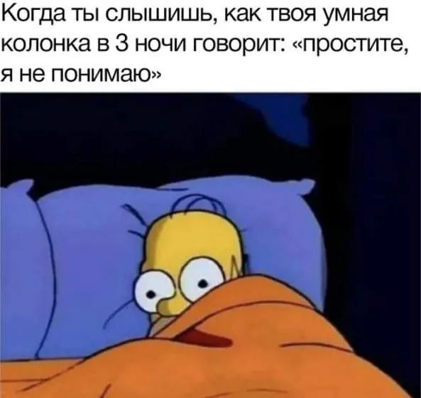 Когда ты слышишь как твоя умная колонка 3 3 ночи говорит простите Я не понимаю