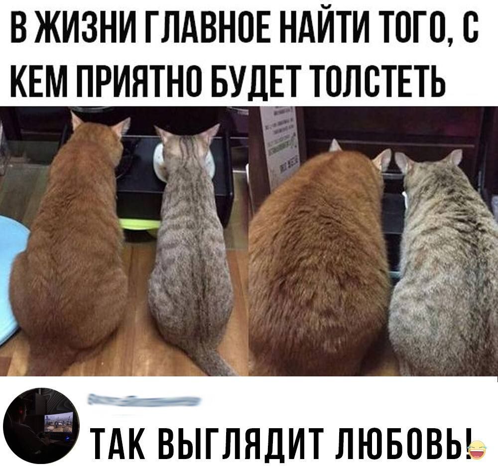 В ЖИЗНИ ГЛАВНОЕ НАЙТИ ТОГО О КЕМ ПРИЯТНО БУДЕТ ТОЛОТЕТЬ у Б __ыг _ их ТАК ВЫГЛЯДИТ ЛЮБОВЬ