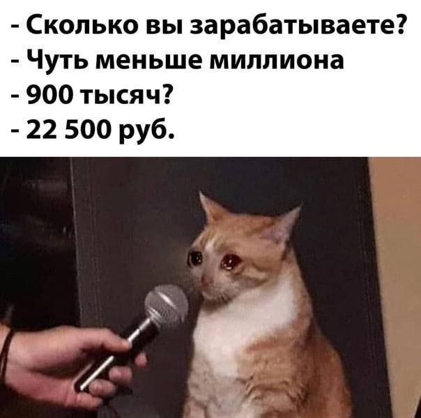 Сколько вы зарабатываете Чуть меньше миллиона 900 тысяч 22 500 руб
