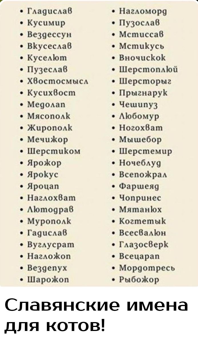 ГлаяисАаВ Наеюмору Кусцмцр ПузосАаВ Везуессун Мстцссав ВКусесдаВ МстцКусь КусеАіот ВиочцсКоК Пу3еса6 Шерстопдіой ХВостосмысА Шерсторыг КусцхВост Прыгиарук МеуоАап Чешцпуз Мясопо Мобомур Жирополк НогохВат МечцЖор Мышебор ШерстцКом Шерстемцр ЯроЖор Ноче6у9 ЯроКус ВсепоЖраА Яроцап Фаршеяу НаглохВат Чопрпмес Мотоурав Мятаніох Муроп0АК КогтетыК гадцсдав ВсесВаліои Вугдусрат ГАазосВерк НагдоЖоп Всецарап