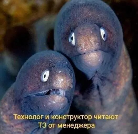 Ючшщапщ 172