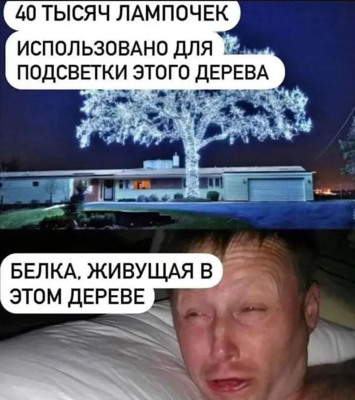 40 тысяч ЛАМПОЧЕК ИСПОЛЬЗОВАНО для ПОДСВЕТКИ ЭТОГО ДЕРЕВА