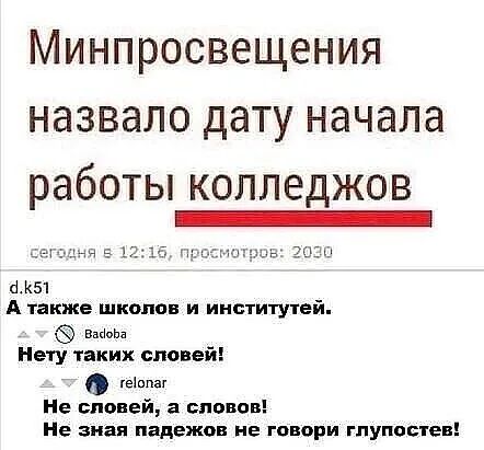 Минпросвещения назвало дату начала работы копледжов _ 51 А также шкопон и институтей ви Нету таких словей ента Не сповей а сливов Не зная падежов не говори глупостев