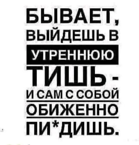 БЫВАЕТ ВЫИДЕШЬ В тишь и САМ с совой ОБИЖЕННО ПИДИШЬ
