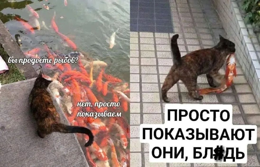 __покАзывАю они длздь