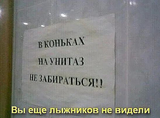 ВКОНЬКМ на из ТАЗ ШЗАБ1ёРАТЬСЯЁ