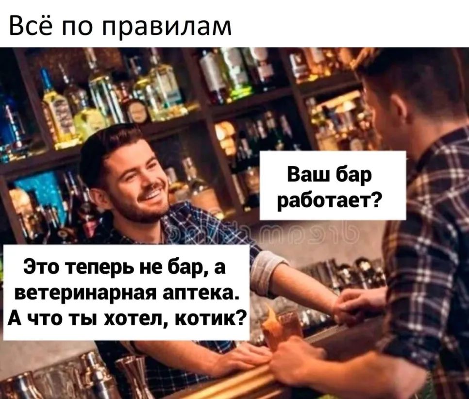 Всё по правилам ЪА 5 Ваш бар работает _ Это теперь не бара ветеринарная аптека