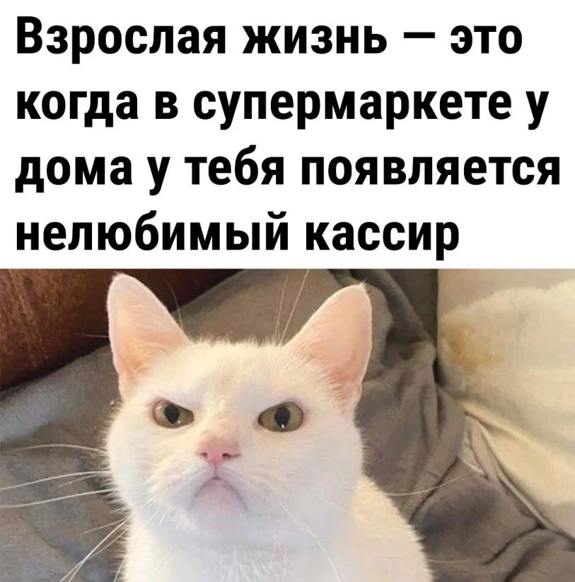 Взрослая жизнь это когда в супермаркете у дома у тебя появляется непюбимый кассир