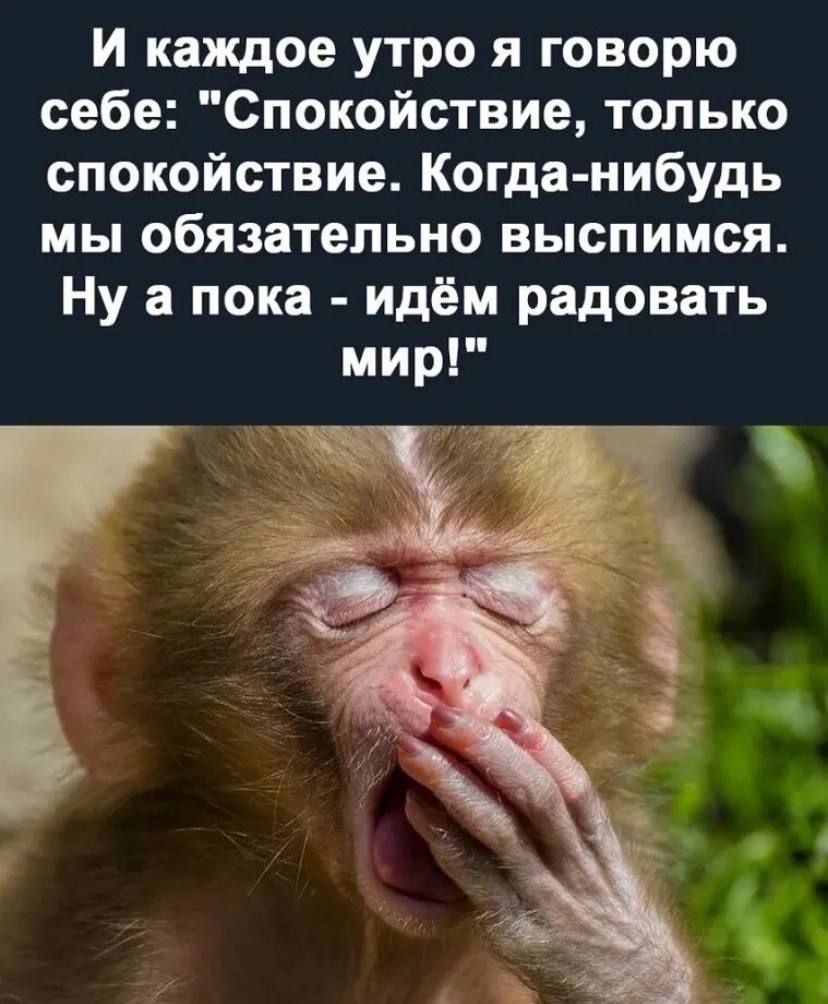 и каждое утро я говорю себе Спокойствие только спокойствие Когда нибудь мы обязательно выспимся Ну а пока идём радовать мир