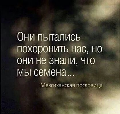 Они пытались похоронить Нас но они не знали что мы сеіиена Мексиканская пословица 4 о