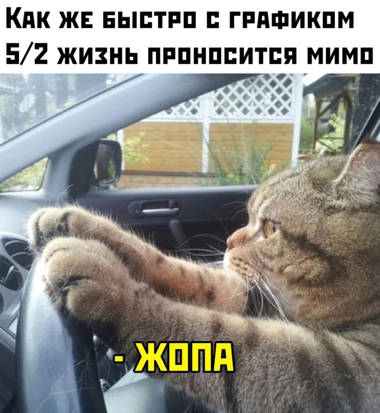 Кпк ж выптпп гпдшикпм 52 жизнь пппнппитпя мимп