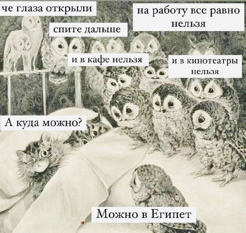 че глаза открыли _ _ 1 на работу все равно Ё нельзя спите дальше и в кафе нельзя _ и в кинотеатры НЕЛЬЗЯ ГИПСТ Можно в Ё П
