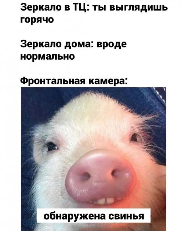 Зеркало в ТЦ ты выглядишь горячо Зеркало дома вроде нормально Фронтальная камера обнаружена с_в_инья
