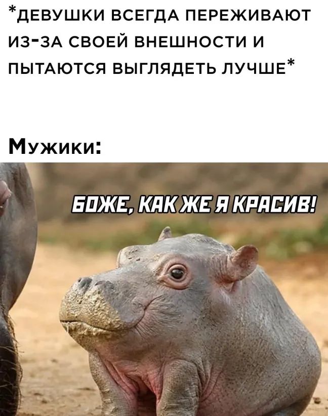 ДЕВУШКИ ВСЕГДА ПЕРЕЖИВАЮТ ИЗЗА СВОЕЙ ВНЕШНОСТИ И ПЫТАЮТСЯ ВЫГЛЯДЕТЬ ЛУЧШЕ Мужики ЕПЖЕ КЛК ЖЕ Я КРЛПИВ