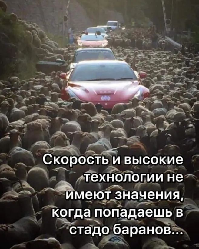 СКОРОСТЬ И ВЫСОКИЭ технологии не ИМЗЮТ значения кгда10п_адаешь в стадріёарановт ___
