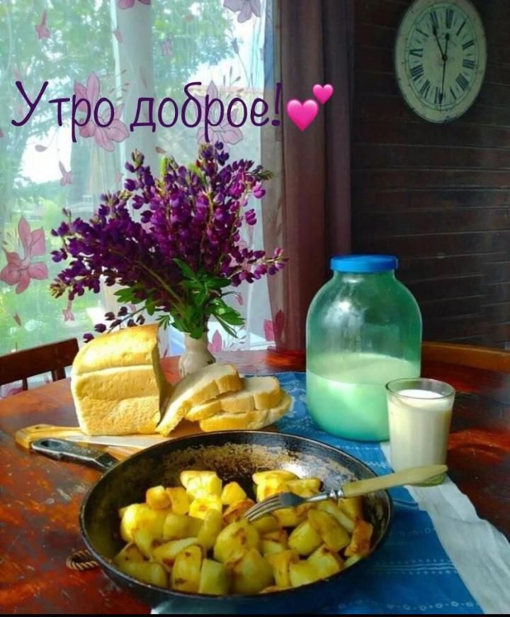 Утро доброеёч