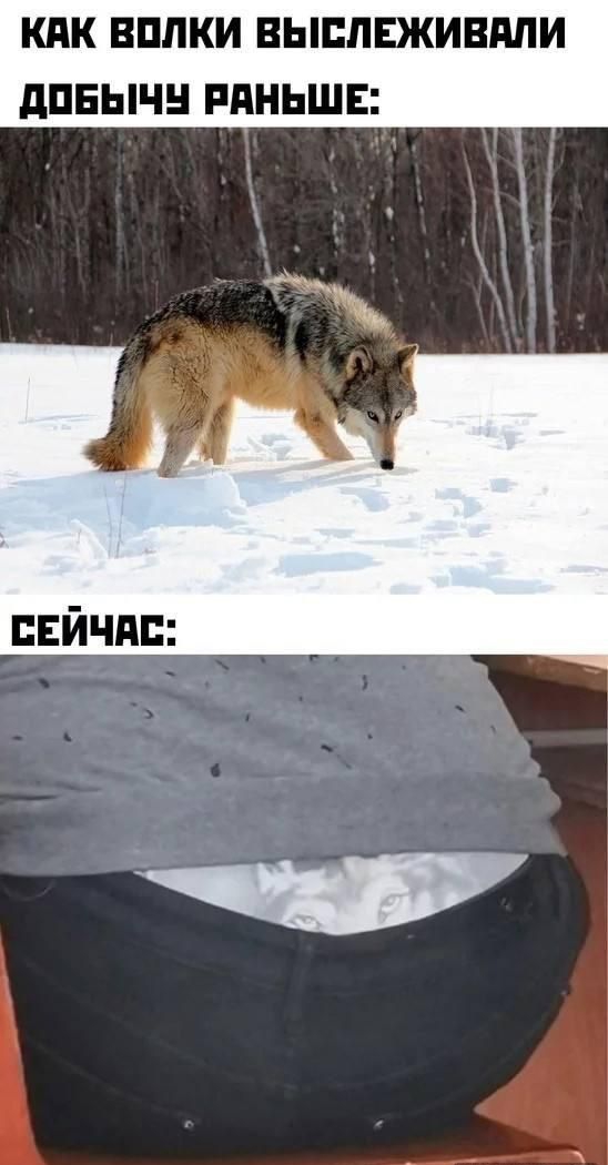 КПК ВПЛКИ ВЫППЕЖИВППИ дПЕЫЧН РАНЬШЕ