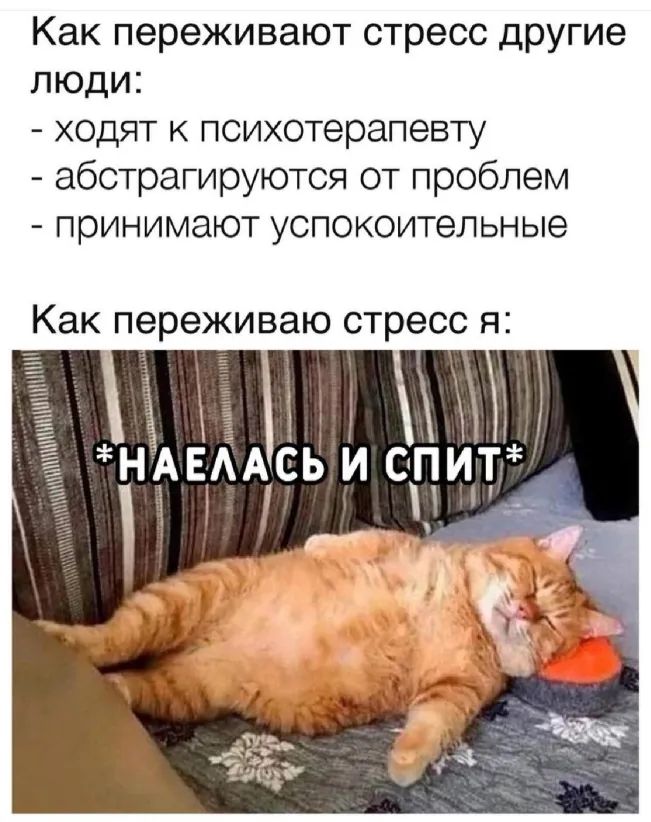 Как переживают стресс другие ЛЮДИ ходят К психотерапевту абстрагируются от проблем принимают успокоительные Как переживаю стресс я