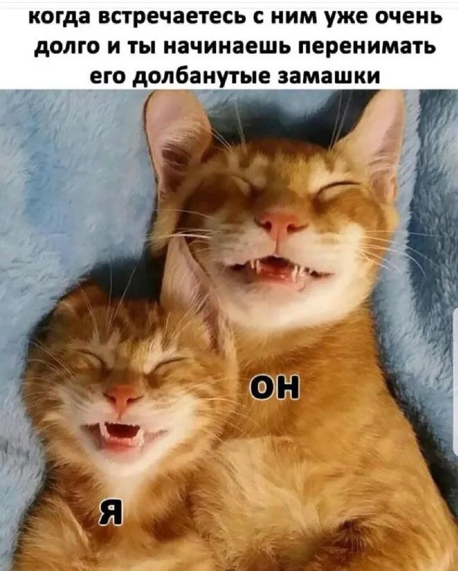 когда встречаетесь с ним уже очень долго и ты начинаешь перенимать его долбанутые замашки