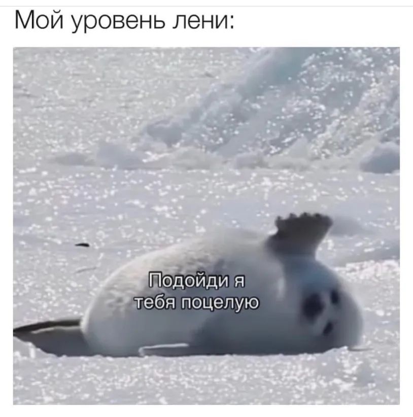 Мой уровень лени Подойди я тебя поцелую