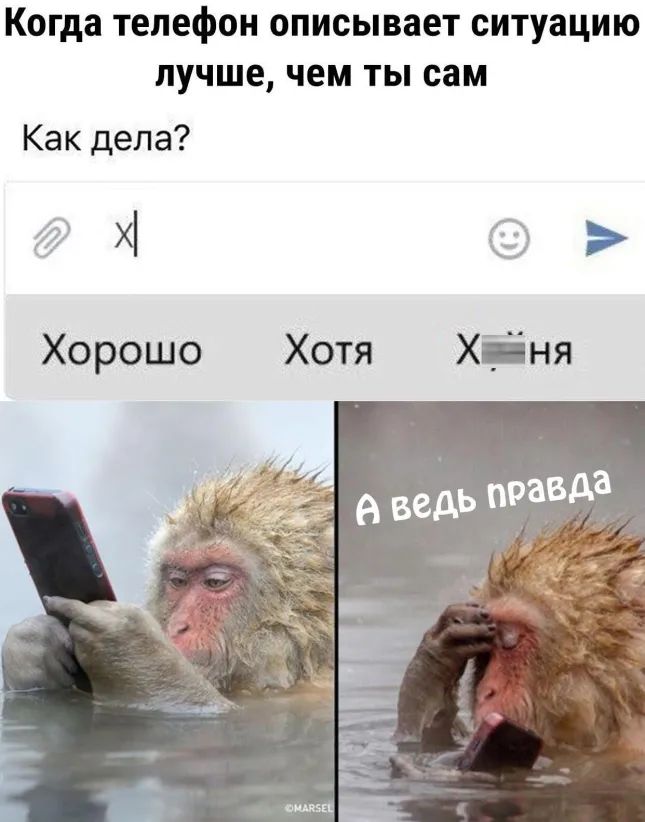 Когда телефон ОПИСЫВЗЕТ СИТУЗЦИЮ лучше чем ТЫ сам Как дела дд Хорошо Хотя ХТ ня