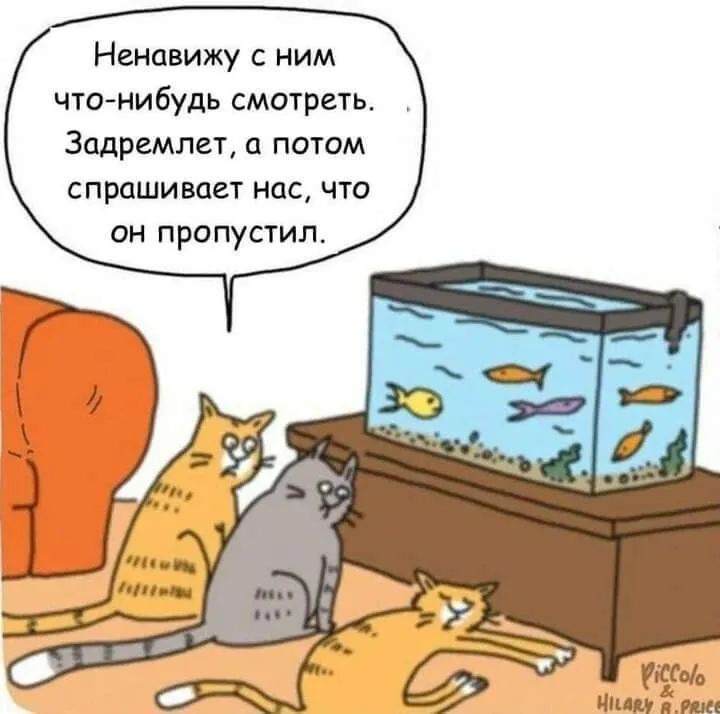 Ненавижу с ним чтонибудь смотреть 3адремлет а потом спрашивает нас что он пропустил